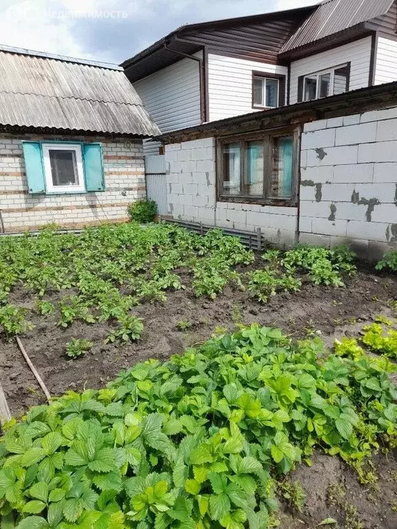 Дом в Тюменская область, Ялуторовский муниципальный округ, село ... - Фото 1