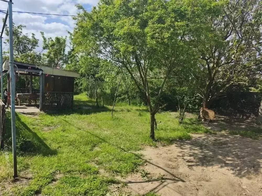 Участок в Краснодарский край, Анапа муниципальный округ, с. ... - Фото 2