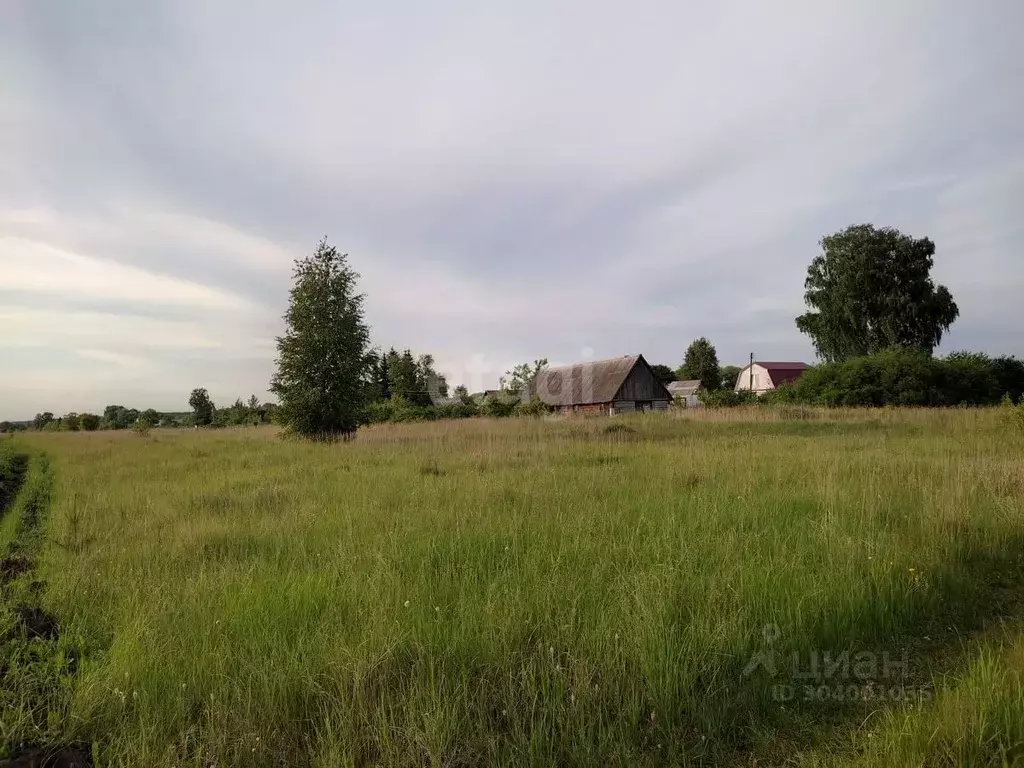 Участок в Пензенская область, Бессоновский район, д. Васильевка ул. ... - Фото 1