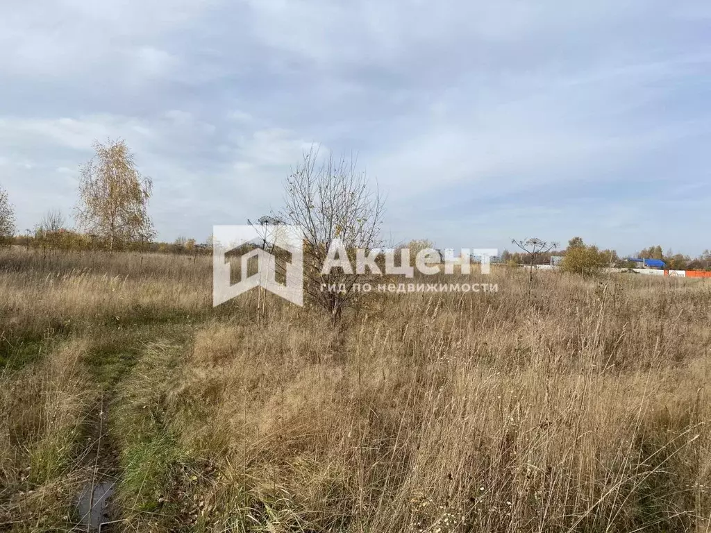 Участок в Ивановская область, Ивановский район, Коляновское с/пос, с. ... - Фото 2