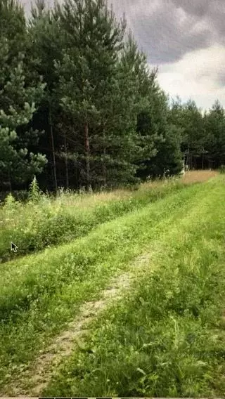 Участок в Тверская область, Калининский муниципальный округ, д. ... - Фото 2