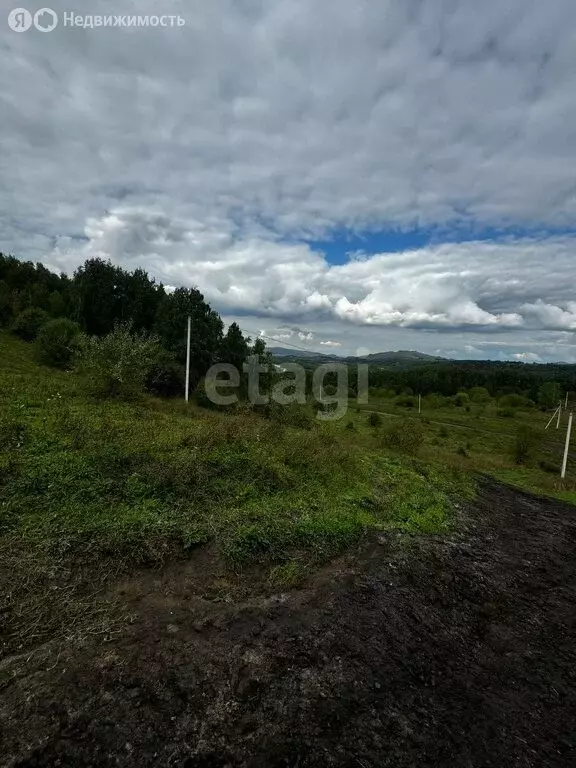 участок в алтайский район, село ая (15 м) - Фото 1