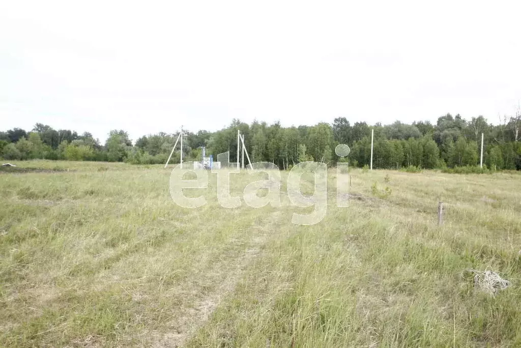 Участок в Тюменская область, Ярковский муниципальный округ, село ... - Фото 2