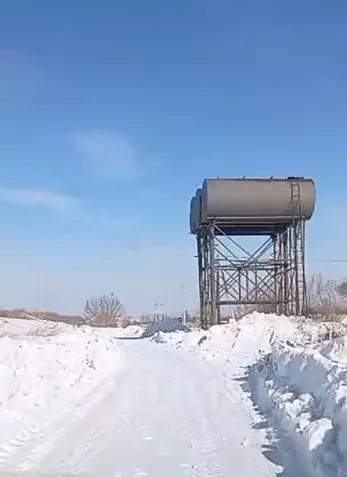Участок в Алтайский край, Калманский район, Родин Яр ДПК ул. ... - Фото 2