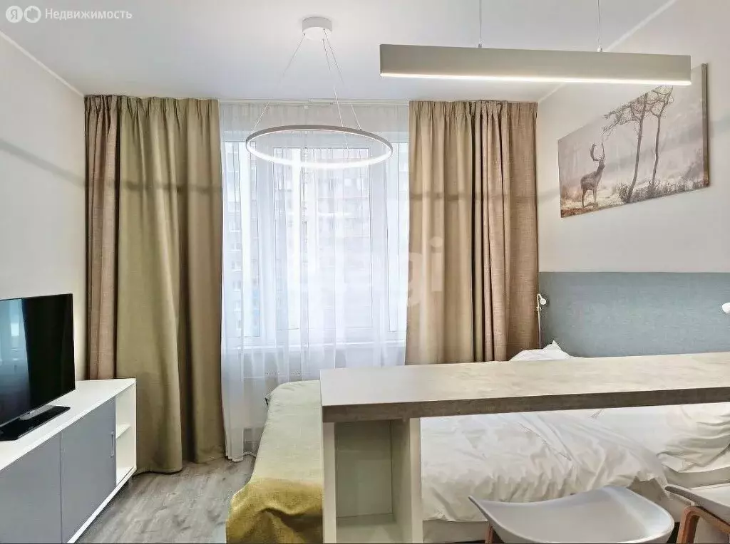Квартира-студия: Санкт-Петербург, Витебский проспект, 99к1 (23.7 м) - Фото 1