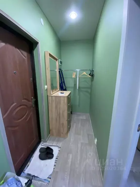 1-к кв. Псковская область, Псков ул. Некрасова, 4 (30.0 м) - Фото 1