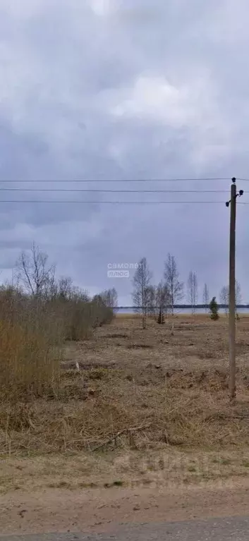 Участок в Тверская область, Осташковский муниципальный округ, д. ... - Фото 1