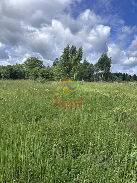 Участок в Ивановская область, Ивановский муниципальный округ, д. ... - Фото 2