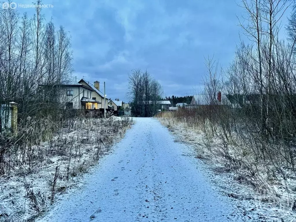 Участок в Ленинградская область, Всеволожск (9.9 м) - Фото 2