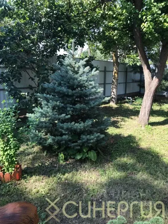 Дом в Ростовская область, Азовский район, Елизаветинская ст-ца  (45 м) - Фото 2