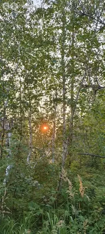 Дом в Якутск, ДСК Мир (37.1 м) - Фото 0