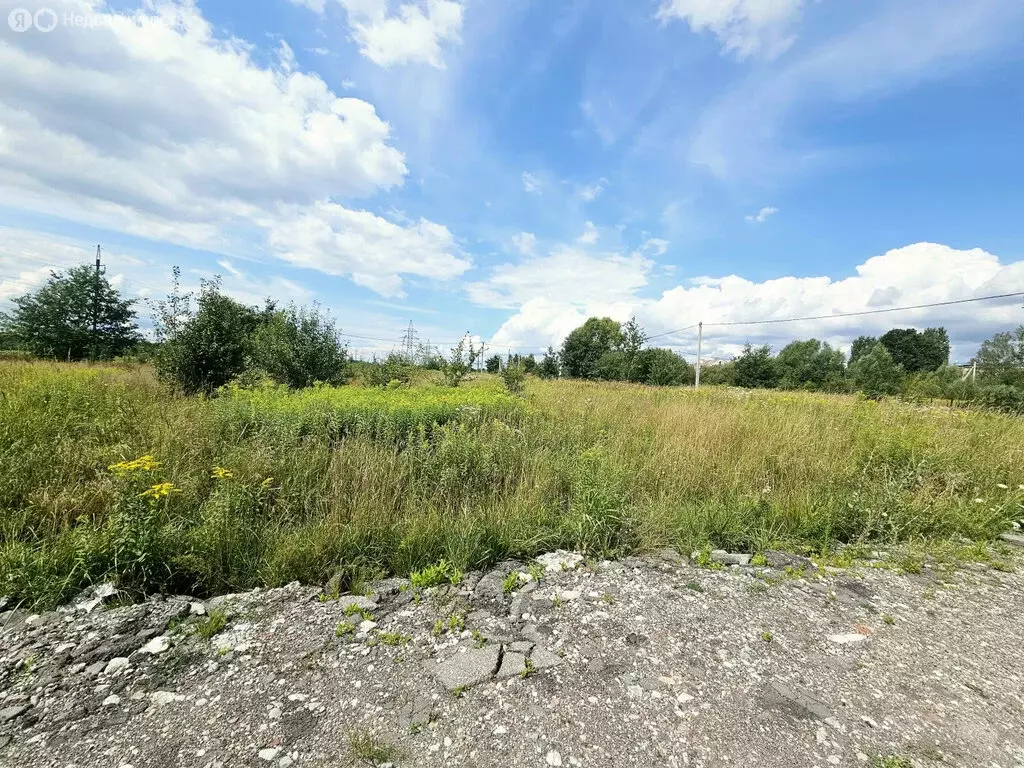 Участок в Калининградская область, Гурьевский муниципальный округ, ... - Фото 2