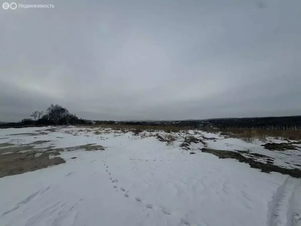 Участок в село Воздвиженка, улица Пушкина, 9 (9.9 м) - Фото 2