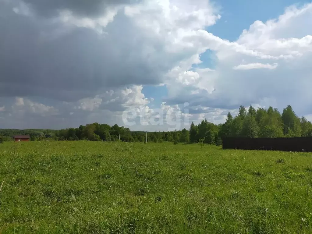 Участок в Калужская область, Калуга городской округ, д. Лихун ул. ... - Фото 2