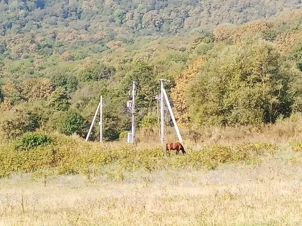 Участок в Адыгея, Майкопский район, Даховская ст-ца Советская ул. ... - Фото 0