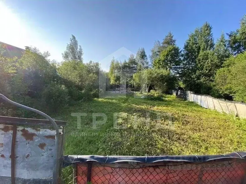 Участок в Санкт-Петербург пос. Парголово, Климовец СНТ, ул. Южная, 193 ... - Фото 1