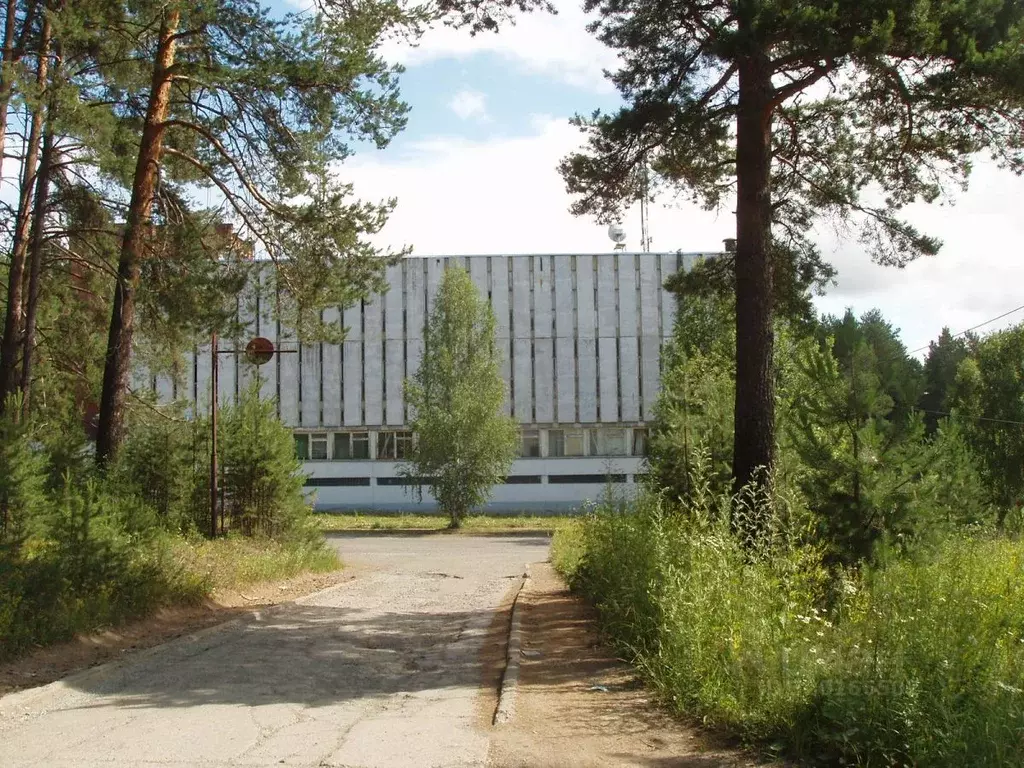 Помещение свободного назначения в Свердловская область, Нижняя Тура ... - Фото 1
