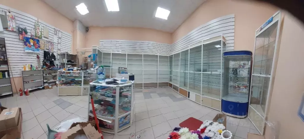 Торговая площадь в Владимирская область, Владимир Суздальский просп., ... - Фото 1