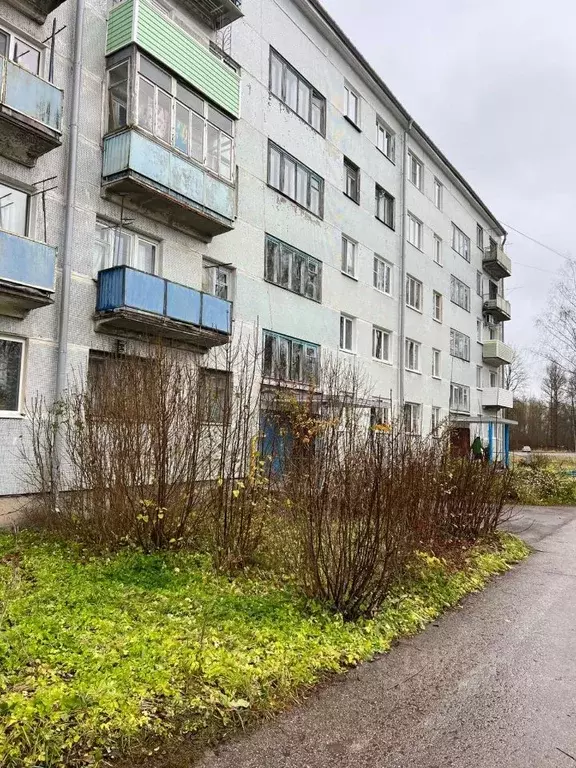 2-к кв. Псковская область, Дно ул. Строителей, 21 (36.0 м) - Фото 1