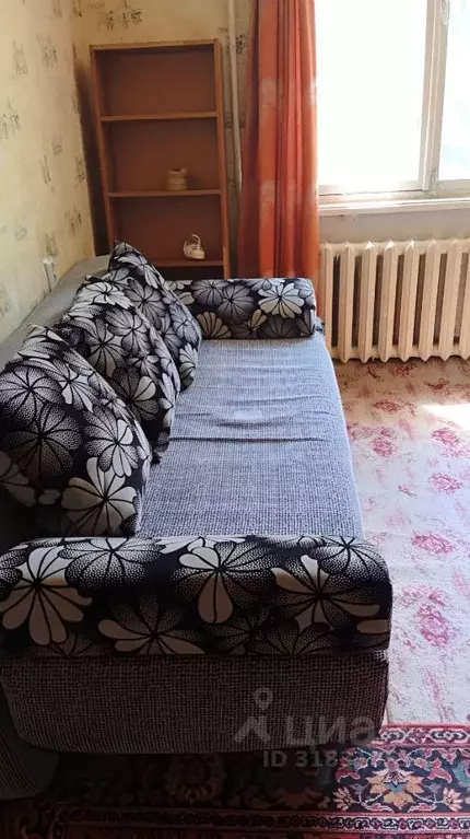 1-к кв. Новосибирская область, Новосибирск ул. Чехова, 195 (30.0 м) - Фото 1