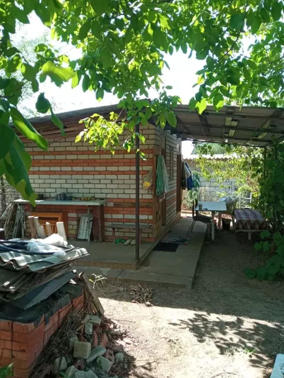 Участок в Волгоградская область, Дубовский район, Пичужинское с/пос, ... - Фото 1