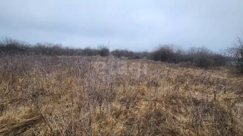 Участок в Белгородская область, Белгородский район, Дубовское с/пос, ... - Фото 2