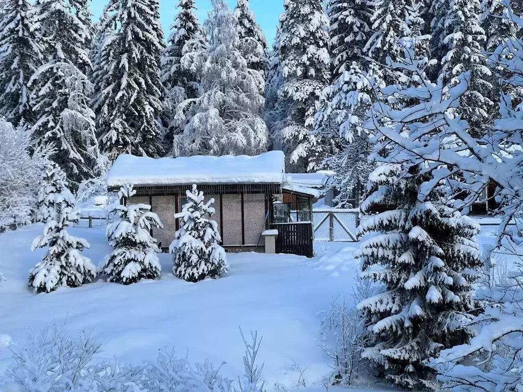 Дом в Карелия, Лахденпохский муниципальный округ, пос. Куянсуо 22А (31 ... - Фото 2