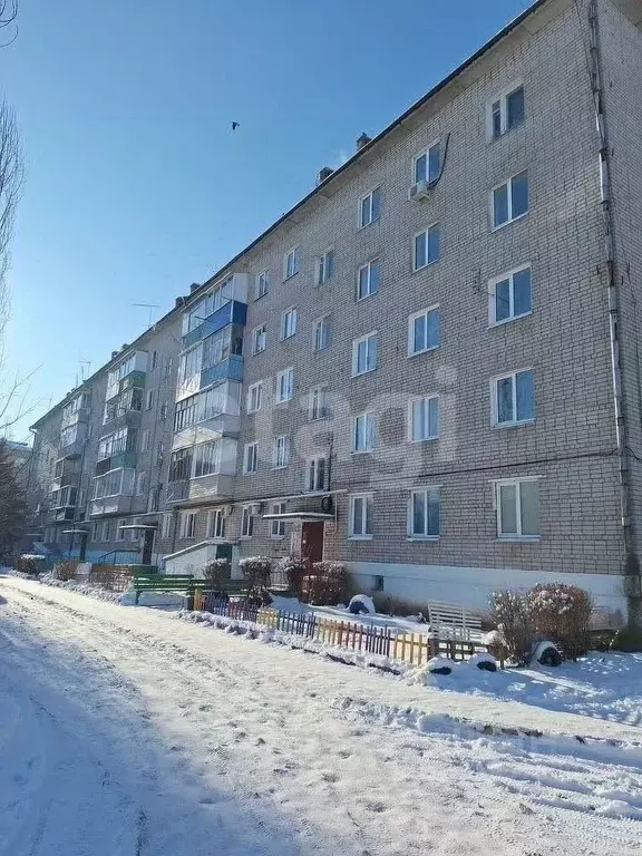 2-к кв. Воронежская область, Семилуки ул. Чапаева, 60 (44.6 м) - Фото 1