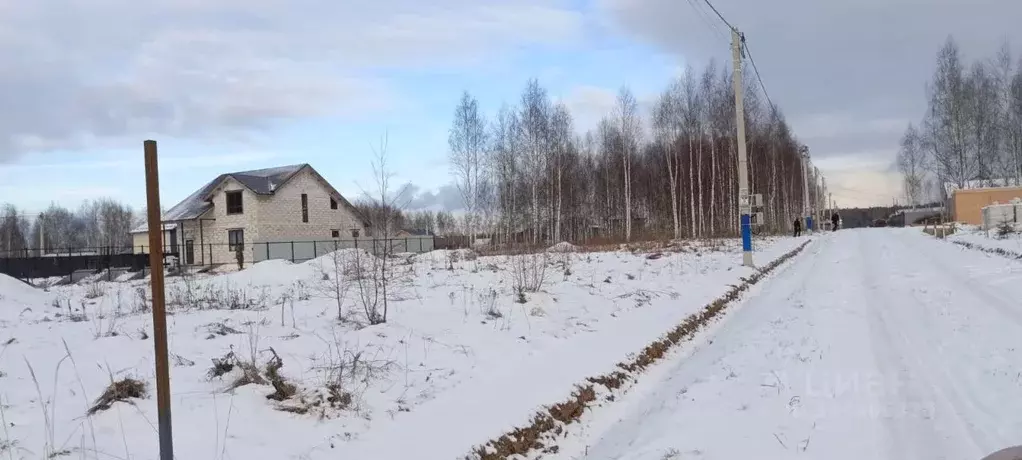 Участок в Московская область, Солнечногорск городской округ, СНТ СН ... - Фото 1