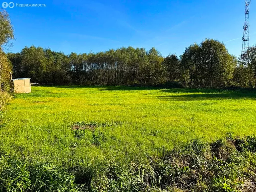 Участок в Московская область, Раменский муниципальный округ, КП ... - Фото 0
