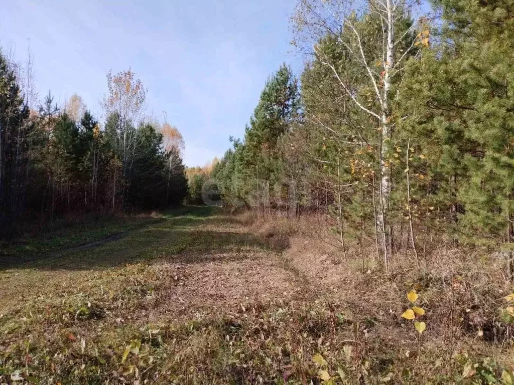 Участок в Тюменская область, Нижнетавдинский муниципальный округ, д. ... - Фото 1