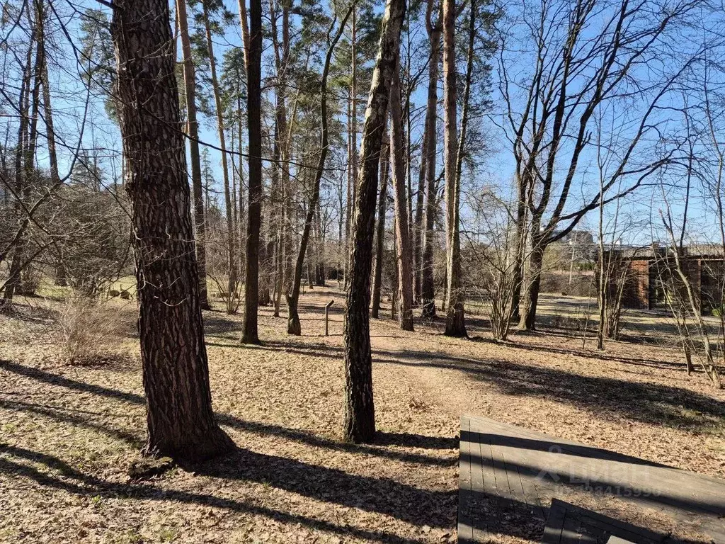 Участок в Московская область, Одинцовский городской округ, д. Жуковка  ... - Фото 2