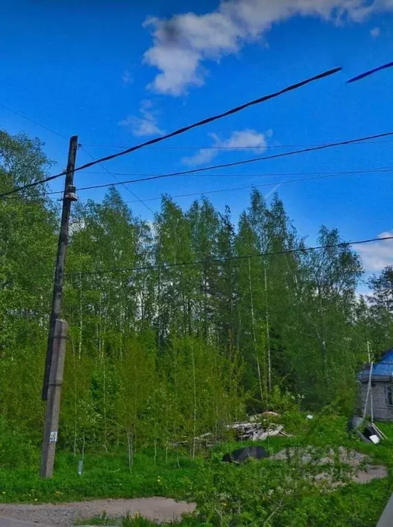 Участок в Ленинградская область, Всеволожский район, Агалатовское ... - Фото 0