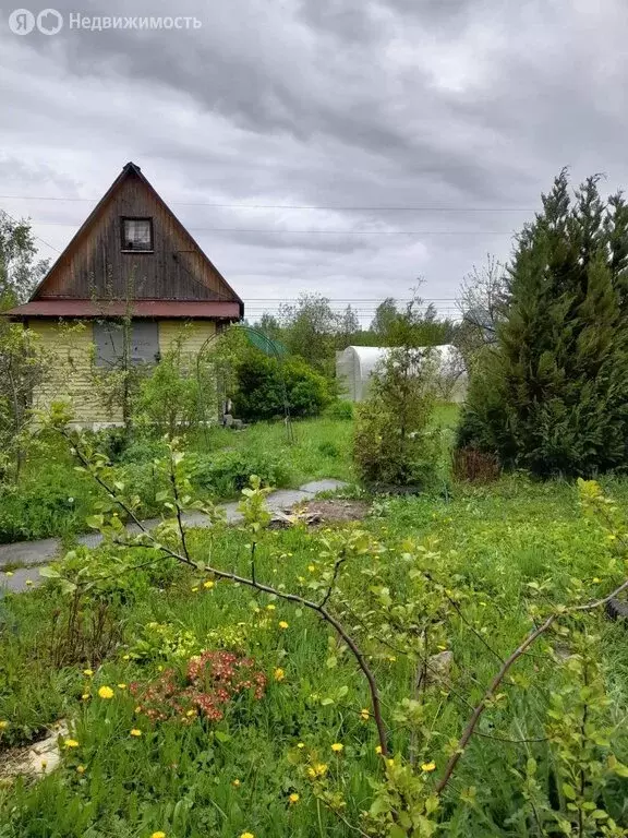 Участок в Сергиево-Посадский городской округ, садовое товарищество ... - Фото 0