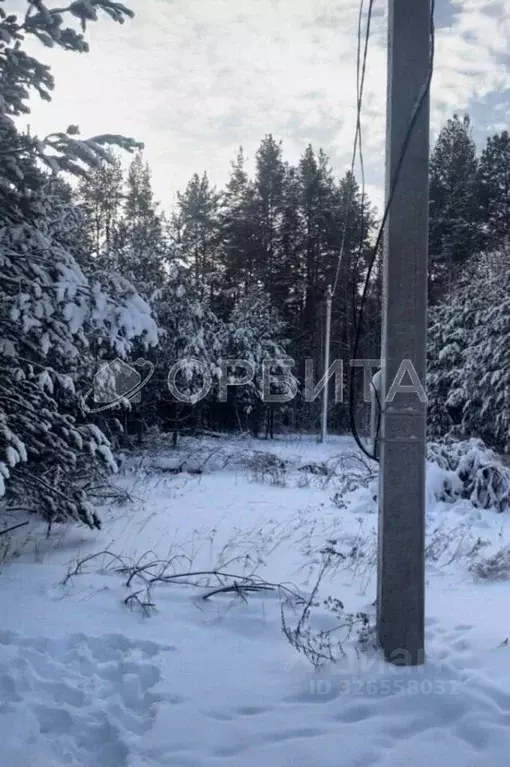 Участок в Свердловская область, Тугулым пгт пл. 50-летия Октября (8.0 ... - Фото 2