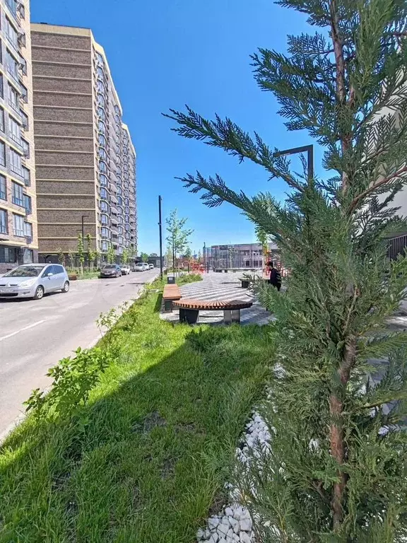 1-к. квартира, 30 м, 10/17 эт. - Фото 1