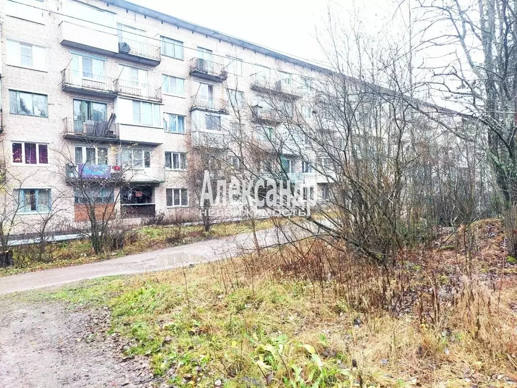 1-комнатная квартира: городской посёлок Кузнечное, улица Гагарина, 1 ... - Фото 2