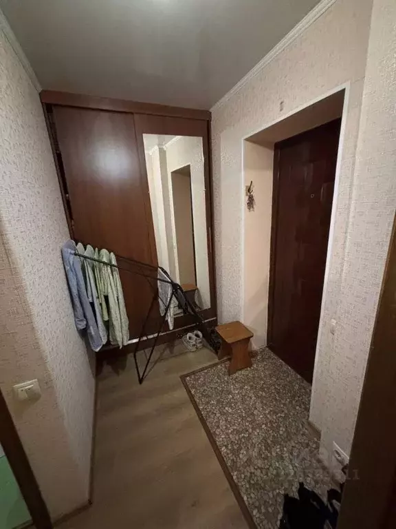 1-к кв. Воронежская область, Ольховатка рп пер. Дзержинского, 4 (31.9 ... - Фото 1