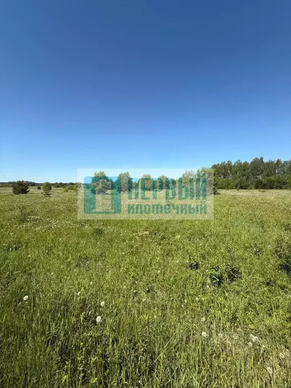 Участок в Марий Эл, Медведевский район, Нурминское с/пос, с. Нурма ул. ... - Фото 1