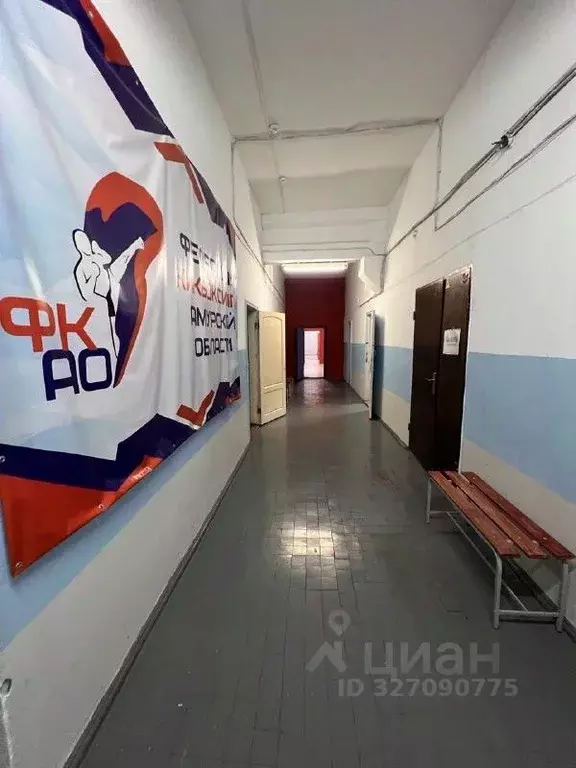 Помещение свободного назначения в Амурская область, Благовещенск ул. ... - Фото 2