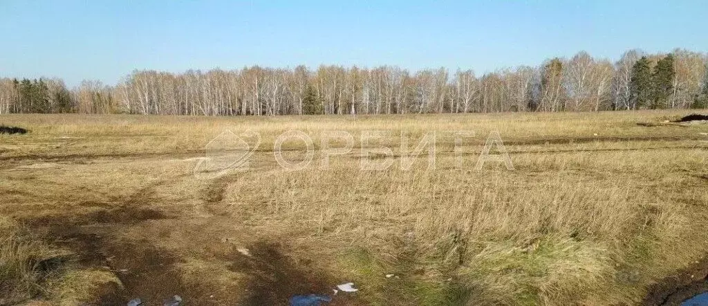 Участок в Тюменская область, Тюменский район, д. Елань  (8.0 сот.) - Фото 0