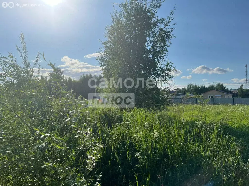 Участок в село Остров, Преображенская улица, 70 (6.9 м) - Фото 1