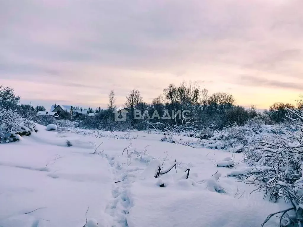 Участок в Ленинградская область, Выборгский район, Рощинское городское ... - Фото 2
