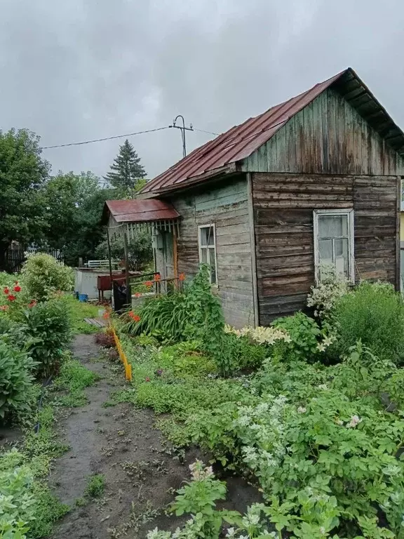 Участок в Омская область, Омск СНТ Сибзаводовец ТСН, аллея 2-я (6.0 ... - Фото 1