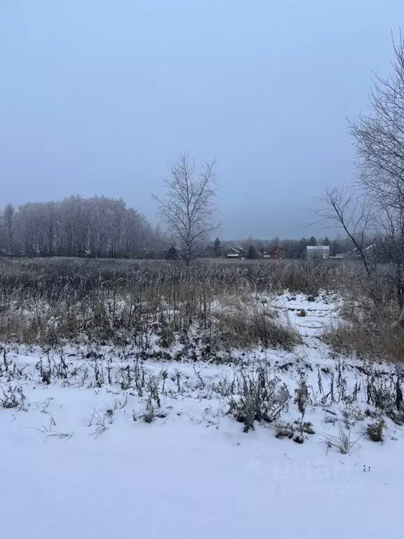 Участок в Владимирская область, Киржачский район, Першинское ... - Фото 0