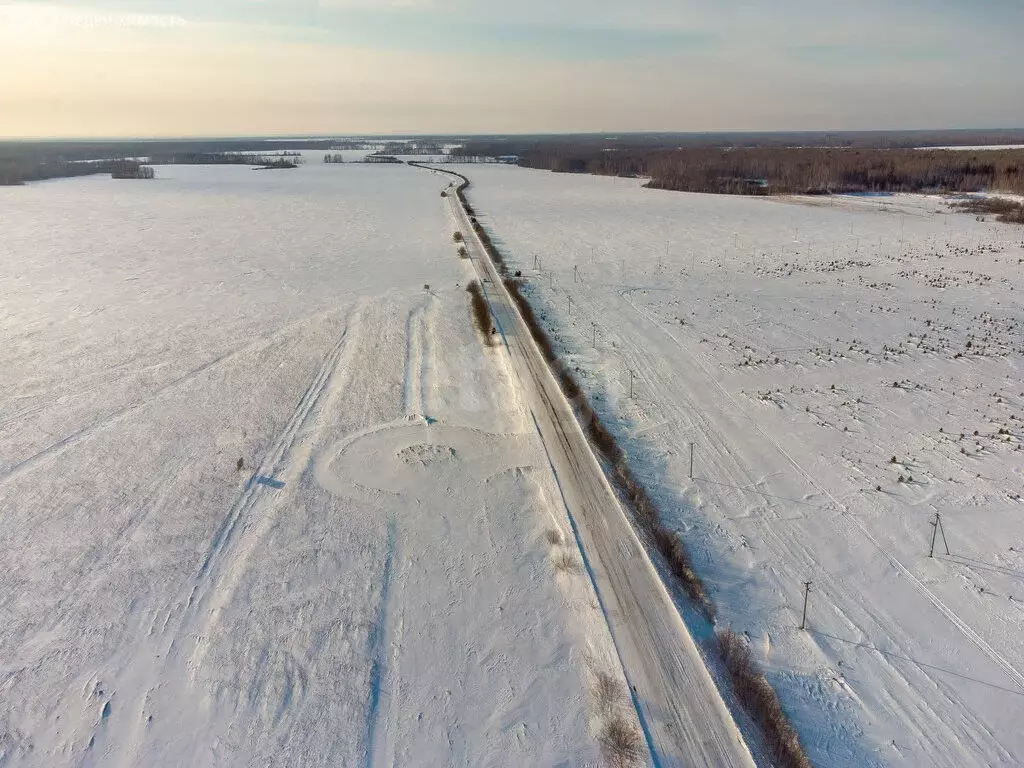 Участок в Тюменский муниципальный округ, коттеджный посёлок Новый (6 ... - Фото 2