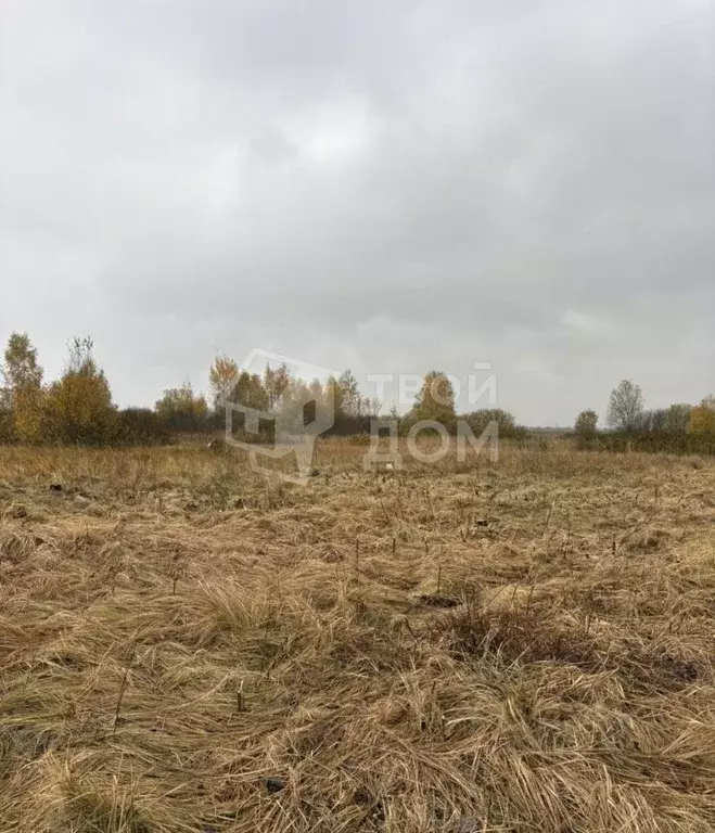 Участок в Ленинградская область, Тосненский район, Красный Бор ... - Фото 2