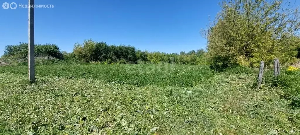 Участок в село Беломестная Двойня, Советская улица (33 м) - Фото 1