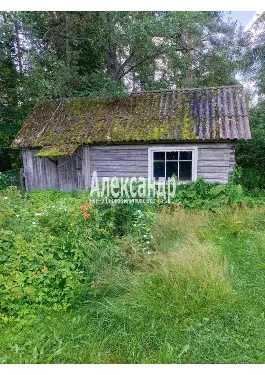 Дом в Ленинградская область, Приозерский район, Петровское с/пос, пос. ... - Фото 2