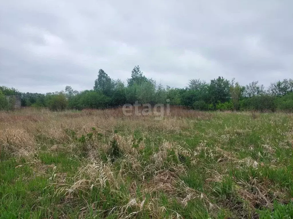 Участок в Воронежская область, Новоусманский район, Усманское 1-е ... - Фото 0